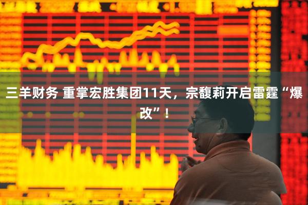 三羊财务 重掌宏胜集团11天,宗馥莉开启雷霆“爆改”!