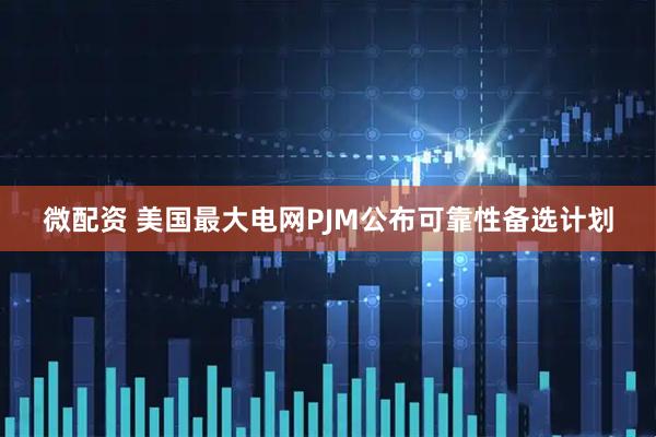 微配资 美国最大电网PJM公布可靠性备选计划