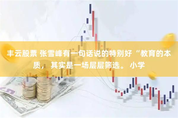 丰云股票 张雪峰有一句话说的特别好 “教育的本质， 其实是一场层层筛选。 小学